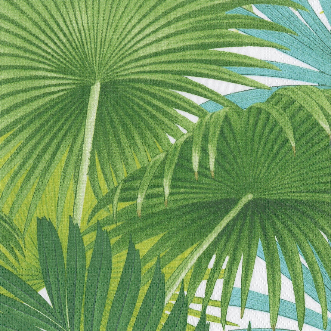 Palm Fronds Paper in White Cocktail Napkin By Caspari- | Mariposa