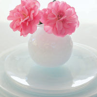 Alabaster White Dinner Set- | Mariposa