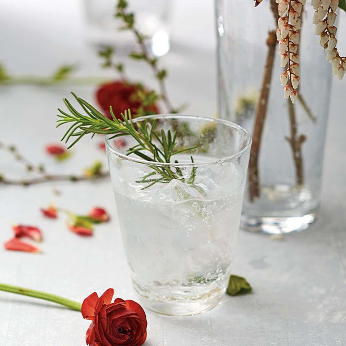 Bellini Tumbler Glass-Glassware-|-Mariposa