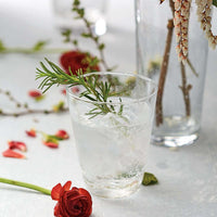 Bellini Tumbler Glass-Glassware-|-Mariposa