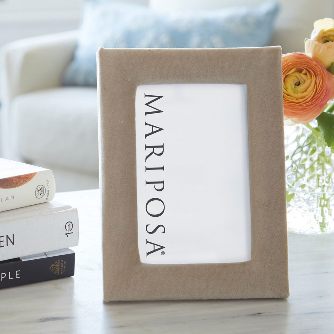 Lola Beige Velvet 4x6 Frame